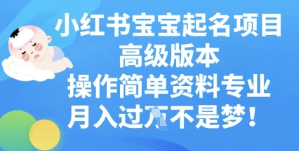 小红书宝宝起名项目高级版本，操作简单，资料专业，月入过W-翎创云终点站