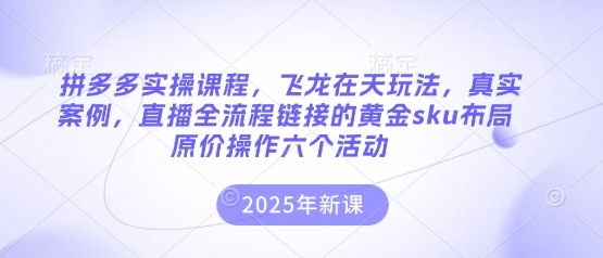 拼多多实操课程，飞龙在天玩法，真实案例，直播全流程链接的黄金sku布局原价操作六个活动-翎创云终点站