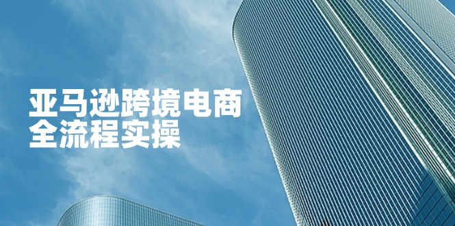 (14252期)亚马逊跨境电商全流程实操,教你从零开始,掌握店铺运营与广告技巧-翎创云终点站