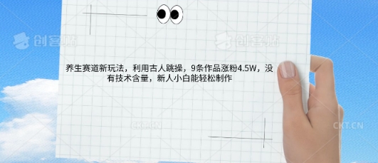 AI养生赛道新玩法，10条作品涨粉5.2W，操作简单，新人小白能轻松制作-翎创云终点站