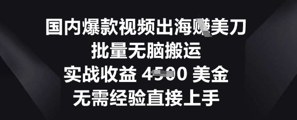 国内爆款视频出海挣美刀，批量无脑搬运，实战收益4.5k，无需经验直接上手-翎创云终点站