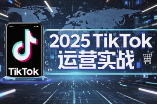 2025TikTok电商运营，掌握TikTok店铺运营核心技巧，实现低成本高转化-翎创云终点站