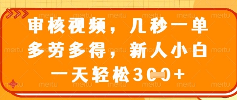 最新审核视频，几秒一单，多劳多得，新人小白一天轻松3张【揭秘】-翎创云终点站