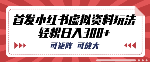 首发小红书虚拟资料玩法，可矩阵，可放大，轻松日入3张-翎创云终点站
