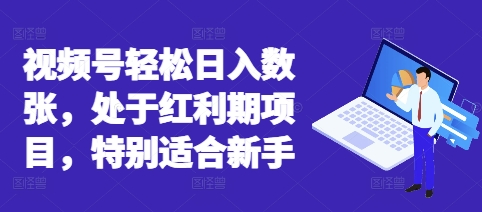 视频号轻松日入数张，处于红利期项目，特别适合新手-翎创云终点站