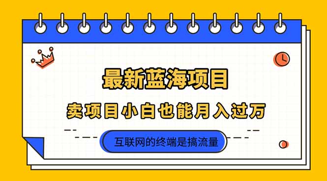 （14289期）2025年最新蓝海项目，卖项目小白也能月入过万-翎创云终点站