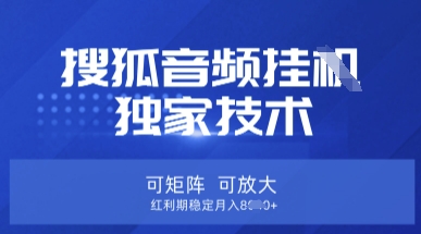 【搜狐音频挂G】独家技术，可矩阵可放大，红利期稳定月入8k【揭秘】-翎创云终点站