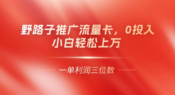 0门槛推广流量卡，一单收益上百，0投入，小白月入过W-翎创云终点站