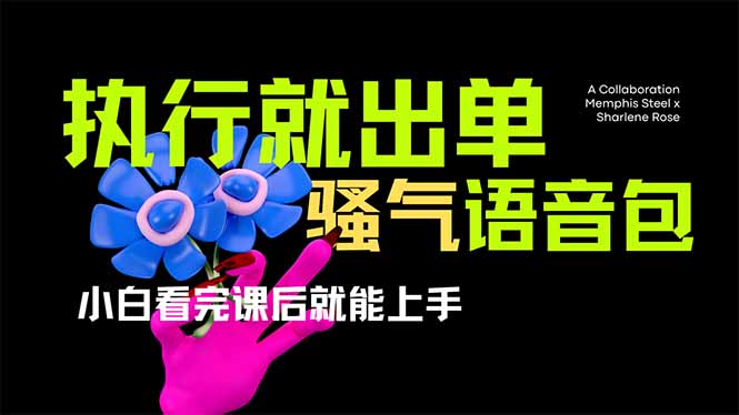 （14170期）爆火全网的开车导航骚气语音包,只要执行就出单，小白看完课程就能实操...-翎创云终点站