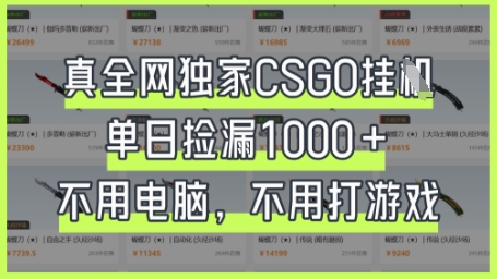 真全网独家CSGO挂G，单日捡漏1k+【揭秘】-翎创云终点站