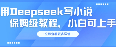 用Deepseek写小说，保姆级教程，小白可实操-翎创云终点站