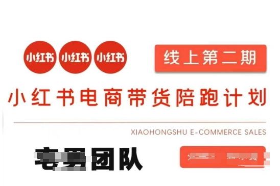 小红书电商带货课2期，月利润20个的小红书电商的有货源，无货源，虚拟产品，付费投流等整套玩法-翎创云终点站