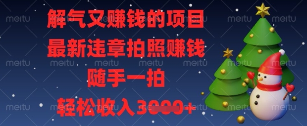 解气又挣钱的项目，最新违章拍照挣钱，随手一拍，轻松收入数张【揭秘】-翎创云终点站